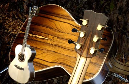 Example of Phoenix acoustic guitar